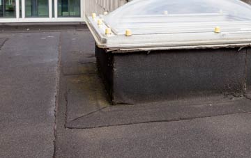 disadvantages of Mareham Le Fen flat roofs