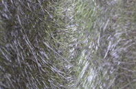 Mareham Le Fen fibreglass roof work